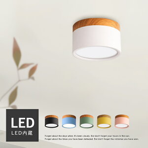 _X[p[Z[ő50%OFF^ LEDV[OCg   Ɩ Cg 킢 k dC VƖ Ɩ Vv  L Ki Q gC a Ɩ  Ce