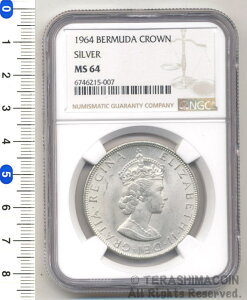 �o�~���[�_�����@1�N���E����݁@1964�@MS64�@�y�����R�C���z