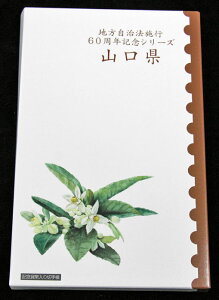 500~oCJ[NbhݕZbg@LOݕ؎蒠 wRx@yRCz