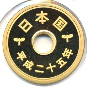 5~/SVbŃi25N/2013/v[tj@yRCz