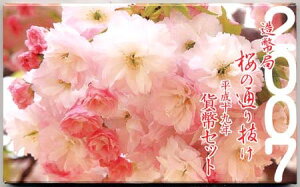 04-231@@̒ʂ蔲@2007/19N@yRCz