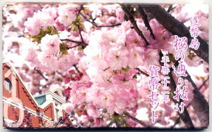 04-275@̒ʂ蔲@@2010/22N@yRCz