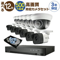 楽天市場】nss ドーム型 防犯カメラの通販