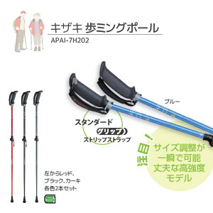 LUL KIZAKI ~O|[ 2{1g APAI-7H202 mfBbNEH[N Kpg143`183cm