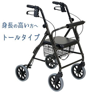 | nbs[II nbs[2g[ s 117070