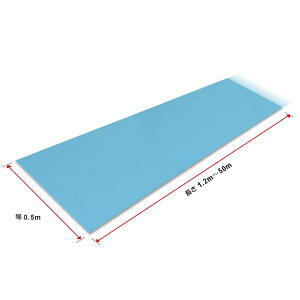 �V���G�C�e�N�m �_�C�������O�}�b�g 2m×50cm SL2