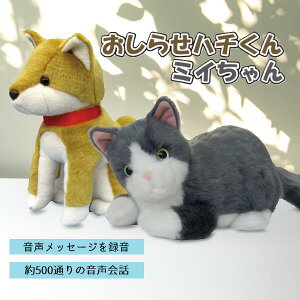 Qnd@ 点n` 点~C MC-R02 MC-R03  R~jP[V{bg x b ʂ {bg v[g