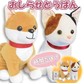 群馬電機 時間だよ！ おしらせとうばん 送料無料 忘れ物防止 MC-U01-DG/CT