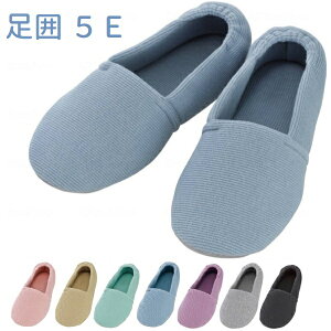 Y ݃V[Y GXphCh 5E 2704  p