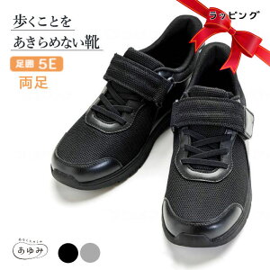 yv[gpbsOdlzY ݃V[Y CtXebv 7070 Ƃ߂Ȃ EOp 5E Zbg M`5L