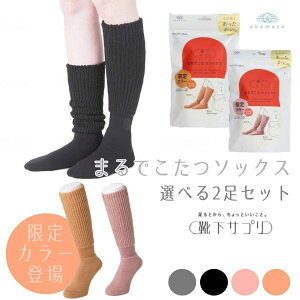 yzyIׂ2Zbgz { CTv ܂ł \bNX J[Iׂ IJg C 23`25cm  532-995-24-90/60/05/12