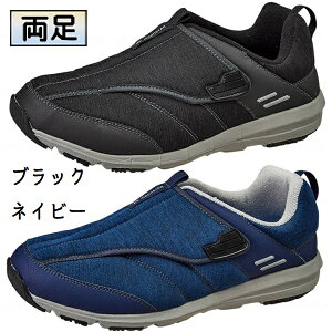 [X^[ SPLT M199 Oop Op jp  5E EȒP