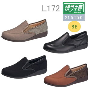 ATqV[YiATqR[|[Vj ` L172 wlp p  3EXb|^Cvې􂢉\