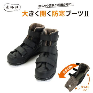 Y ݃V[Y 傫Jhu[cII 傫Jhu[c2 5022  M`6L ubN 7E jp Ήyz