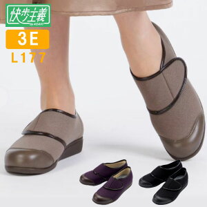 ATqV[YiATqR[|[Vj ` L177 wlp p  3E ʃt@Xi[^Cv }WbNe[v { Y ېOK