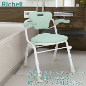 b`F 炩V[`FA NI ܂肽݁ihJrvXjI|t460 140066 CgO[