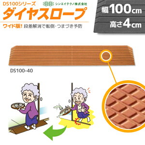 p u _CX[v DS100-40 100cm/i4cmp