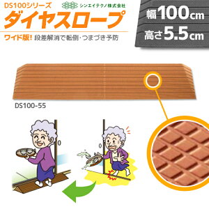 p u _CX[v DS100-55 100cm/i5.5cmp