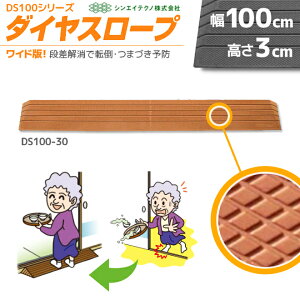 p u _CX[v DS100-30 100cm/i3cmp