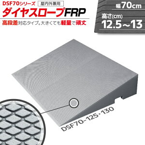 VGCeNm _CX[v FRP DSF70-125E130 70cm/i12.5`13.0cmp