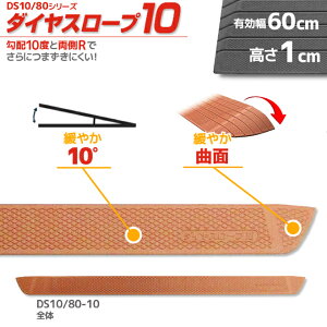 VGCeNm _CX[v10 DS10/80-10 p z10x 10° 80cm/i1.0cmp