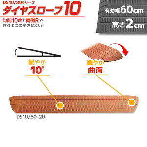 VGCeNm _CX[v10 DS10/80-20 p z10x 10° 80cm/i2.0cmp