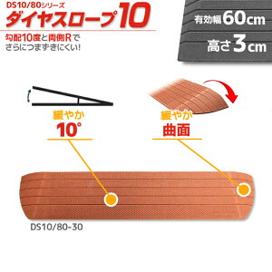 VGCeNm _CX[v10 DS10/80-30 p z10x 10° 80cm/i3.0cmp