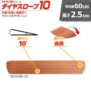 VGCeNm _CX[v10 DS10/80-25 p z10x 10° 80cm/i2.5cmp