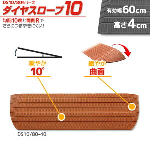 VGCeNm _CX[v10 DS10/80-40 p z10x 10° 80cm/i4.0cmp