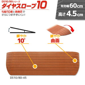 VGCeNm _CX[v10 DS10/80-45 p z10x 10° 80cm/i4.5cmp