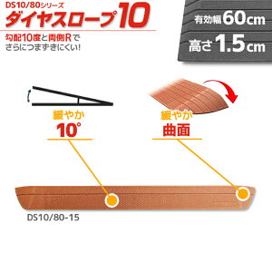 VGCeNm _CX[v10 DS10/80-15 p z10x 10° 80cm/i1.5cmp