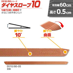 VGCeNm _CX[v10 DS10/80-05 p z10x 10° 80cm/i0.5cmp