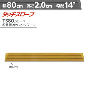VGCeNm ^b`X[v TS80-20 W^Cv 80cm×2cm { Ep i ]|h~ ʃe[v AEVA ytH[