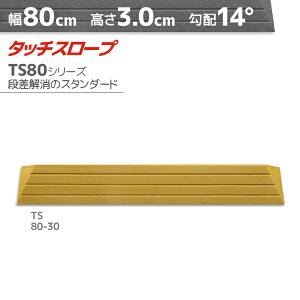 VGCeNm ^b`X[v TS80-30 W^Cv 80cm×3cm { Ep i ]|h~ ʃe[v AEVA ytH[