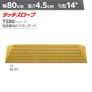 VGCeNm ^b`X[v TS80-45 W^Cv 80cm×4.5cm { Ep i ]|h~ ʃe[v AEVA ytH[