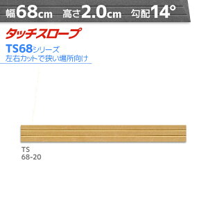 VGCeNm ^b`X[v TS68-20 RpNg 68cm×2cm { Ep i ]|h~ ʃe[v AEVA ytH[ ꏊEXy[Xɂ
