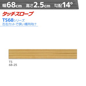 VGCeNm ^b`X[v TS68-25 RpNg 68cm×2.5cm { Ep i ]|h~ ʃe[v AEVA ytH[ ꏊEXy[Xɂ