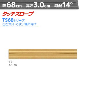 VGCeNm ^b`X[v TS68-30 RpNg 68cm×3cm { Ep i ]|h~ ʃe[v AEVA ytH[ ꏊEXy[Xɂ