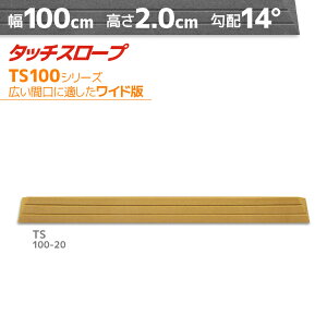 VGCeNm ^b`X[v TS100-20 ChŁEL 100cm×2cm { Ep i ]|h~ ʃe[v AEVA ytH[