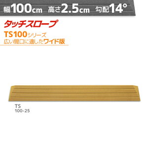 VGCeNm ^b`X[v TS100-25 ChŁEL 100cm×2.5cm { Ep i ]|h~ ʃe[v AEVA ytH[