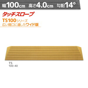 VGCeNm ^b`X[v TS100-40 ChŁEL 100cm×4cm { Ep i ]|h~ ʃe[v AEVA ytH[