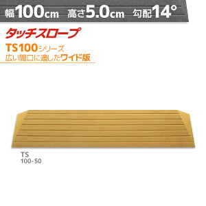 VGCeNm ^b`X[v TS100-50 ChŁEL 100cm×5cm { Ep i ]|h~ ʃe[v AEVA ytH[