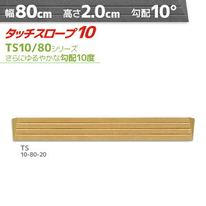 VGCeNm ^b`X[v10 TS10-80-20 ₩Ȍz10xE10° 80cm×2cm{ Ep i ]|h~ ʃe[v AEVA ytH[