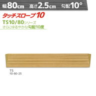 シンエイテクノ タッチスロープ10 TS10-80-25 ゆるやかな勾配10度・10° 幅80cm×高さ2.5cm 日本製 室内…