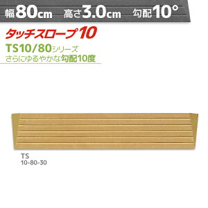 VGCeNm ^b`X[v10 TS10-80-30 ₩Ȍz10xE10° 80cm×3cm { Ep i ]|h~ ʃe[v AEVA ytH[
