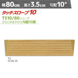 VGCeNm ^b`X[v10 TS10-80-35 ₩Ȍz10xE10° 80cm×3.5cm{ Ep i ]|h~ ʃe[v AEVA ytH[