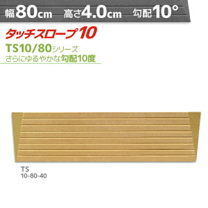 VGCeNm ^b`X[v10 TS10-80-40 ₩Ȍz10xE10° 80cm×4cm { Ep i ]|h~ ʃe[v AEVA ytH[