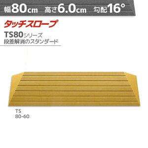 VGCeNm ^b`X[v TS80-60 W^Cv 80cm×6.0cm z16x { Ep i ]|h~ ʃe[v AEVA ytH[