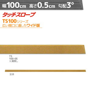 VGCeNm ^b`X[v TS100-05 ChŁEL 100cm×0.5cm z3x { Ep i ]|h~ ʃe[v AEVA ytH[ a͂܂