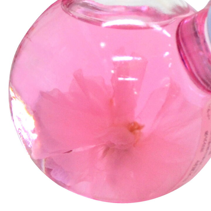 楽天市場 ケース販売 お取り寄せ 天然の桜花入り リキュール やたがらす さくらさらさら 180ml 本 1ケース 北岡本店 引き出物 海外 土産 櫻 花びら お花見 包装 熨斗対応不可 送料無料 酒食処 寺津屋